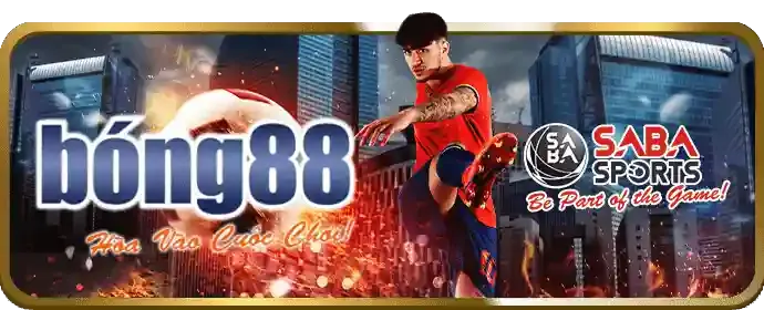 Đa dạng trò chơi cá cược tại 8day8